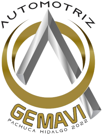 LOGO_GEMAVI