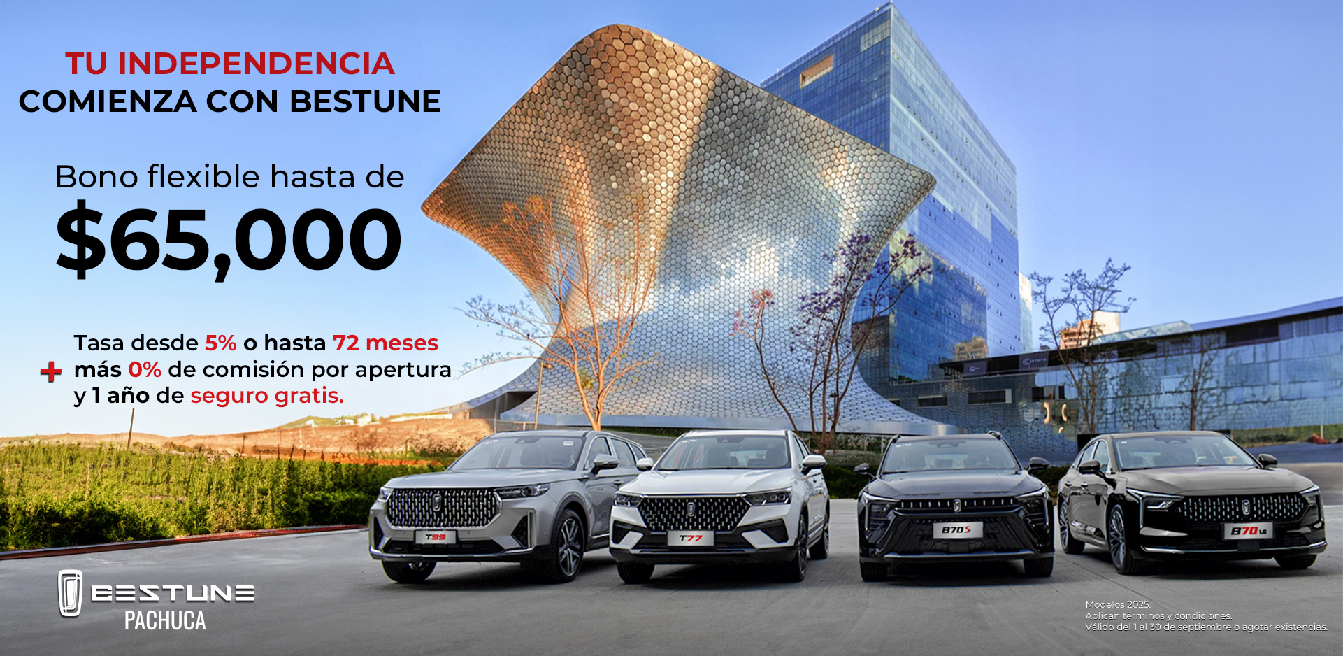 PACHUCA (5)